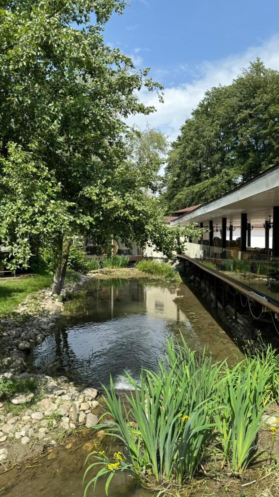 Marabou Resort Brassó Kültér fotó